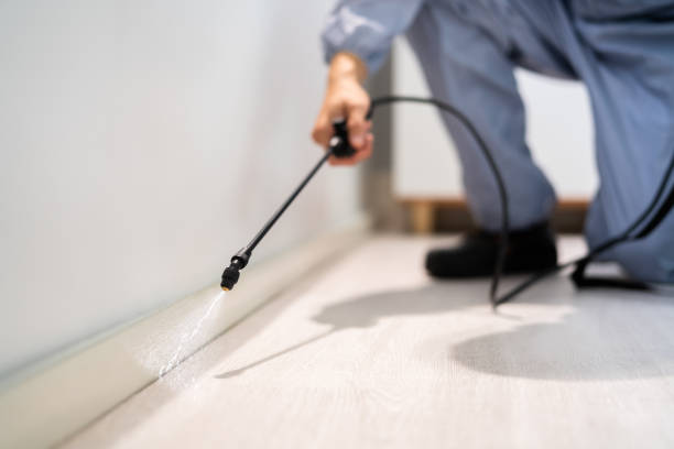 Licensed Mosquito Control service in Dublin, VA - Show Me Pest Control