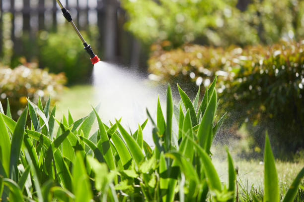 24/7 Emergency Mosquito Control experts in Dublin, VA
