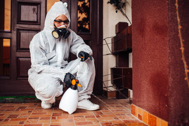Reliable Mosquito Control contractor in Dublin, VA by Show Me Pest Control