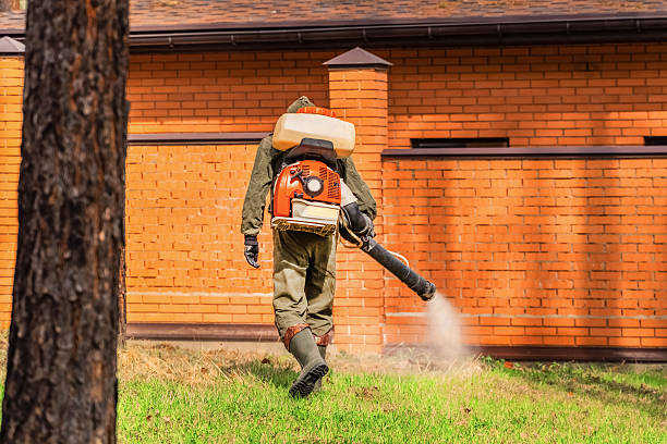 Top rated local Mosquito Control specialists in Dublin, VA
